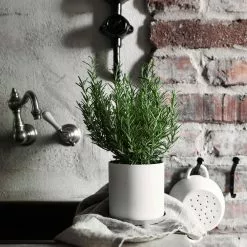 Ernst Geschirrhandtuch Leinen 47x70 Cm, Dunkelgrau -Kindertextilien Verkäufe ernst geschirrhandtuch leinen 47x70 cm 3